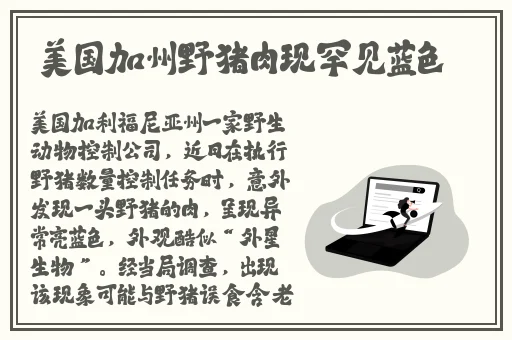 特级毛片绝黄A片免费播